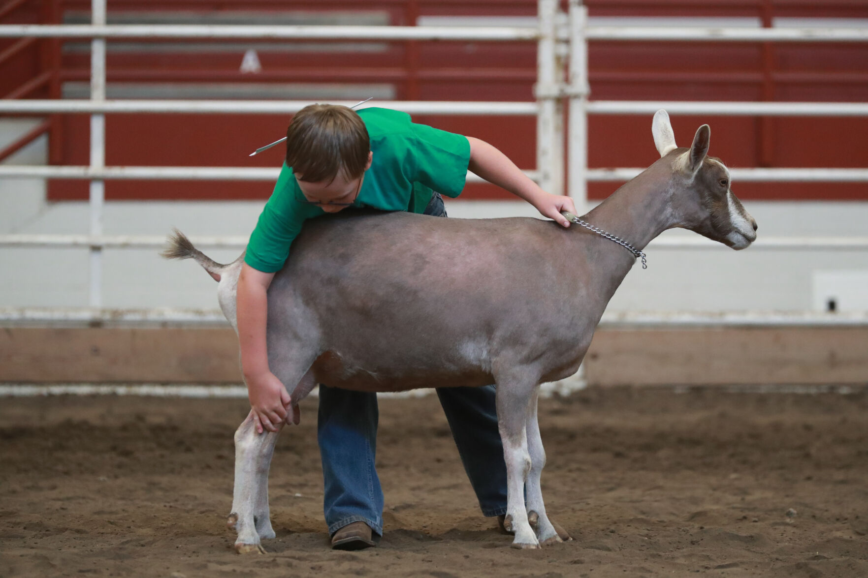 072320_HCFGoatShow012_bjs.JPG